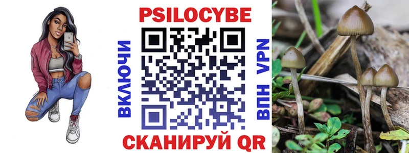 Галлюциногенные грибы мухоморы  где продают наркотики  Новая Ладога 